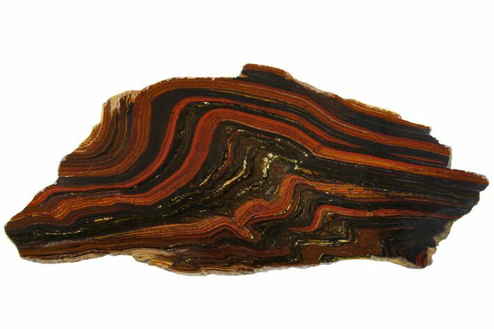 Polished Tiger Iron Stromatolite Slab - Billion Years #161893